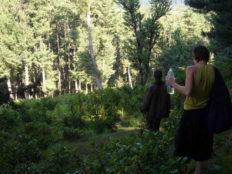 Travel - India - Kashmir - Pahalgam - Around Bentes Lodge